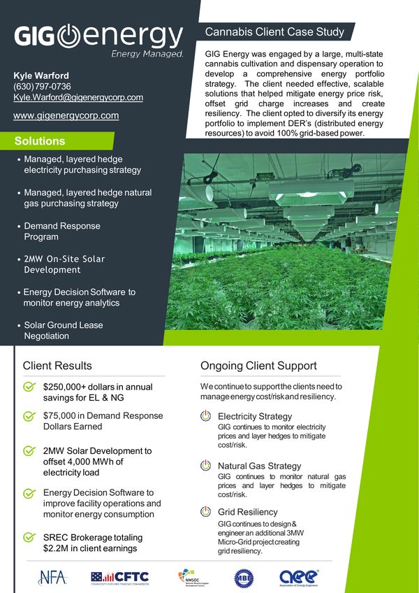Preview of GIG Energy Cannabis Client Case Study